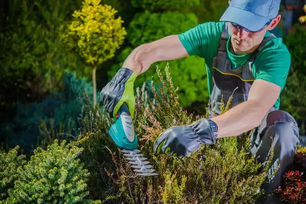 landscaping services Leipsic